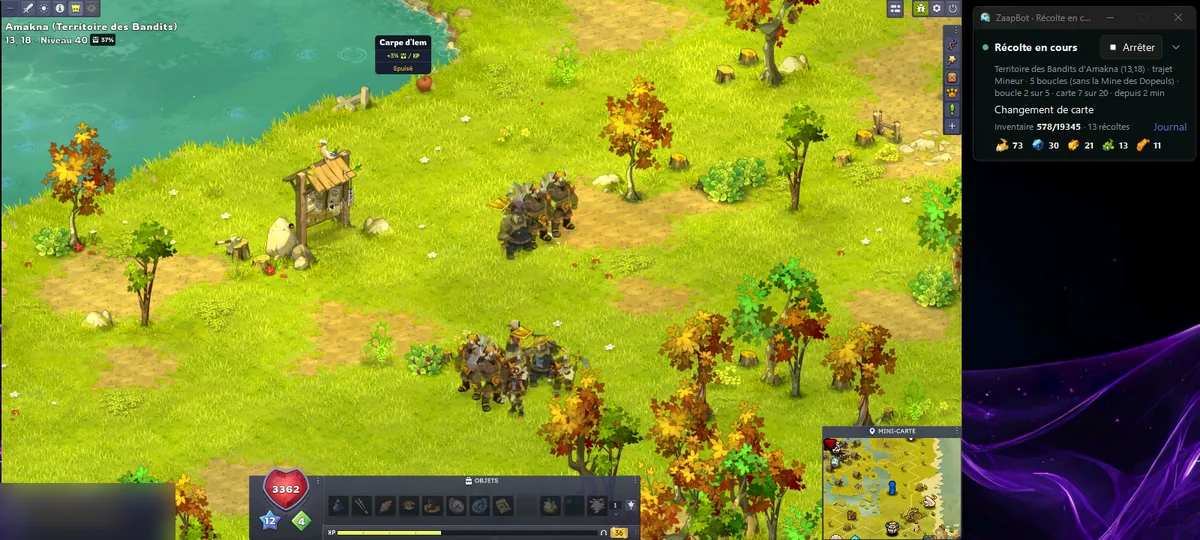 Dofus en 1280 × 720 à gauche, ZaapBot replié à droite, pendant une récolte